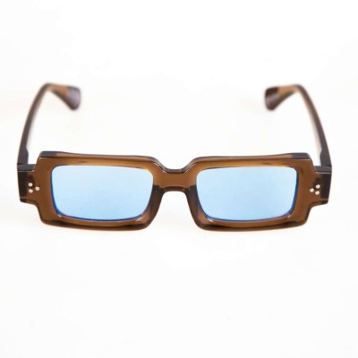 Iris Brown Blue Iris Brown Blue
